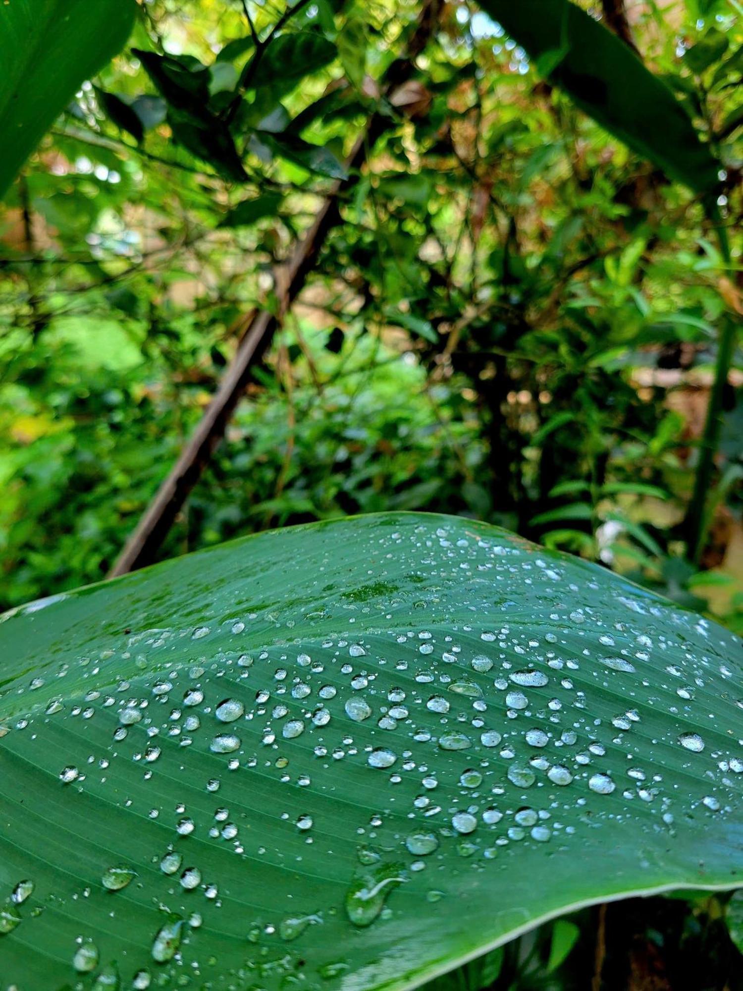 Nong Trai Thanh Thoi Ben Tre Kültér fotó