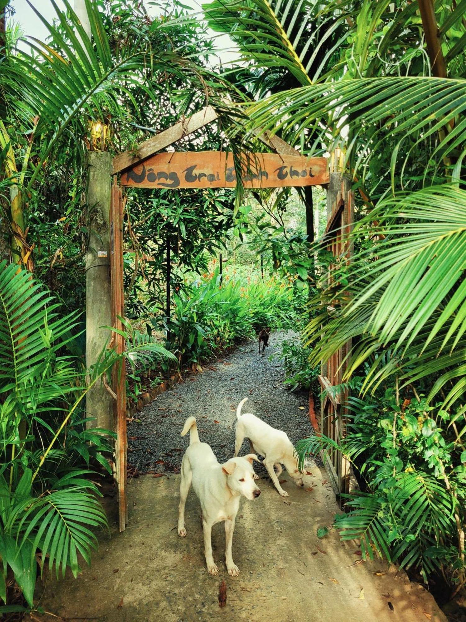 Nong Trai Thanh Thoi Ben Tre Kültér fotó